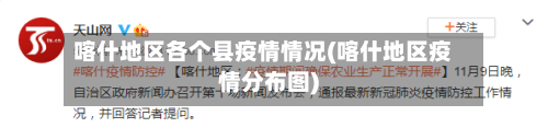喀什地区各个县疫情情况(喀什地区疫情分布图)