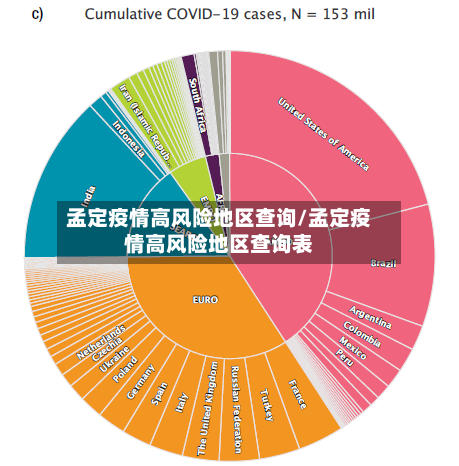 孟定疫情高风险地区查询/孟定疫情高风险地区查询表-第2张图片