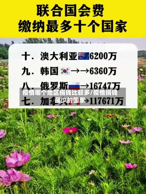 疫情哪个地区捐钱比较多/疫情捐钱最少的国家