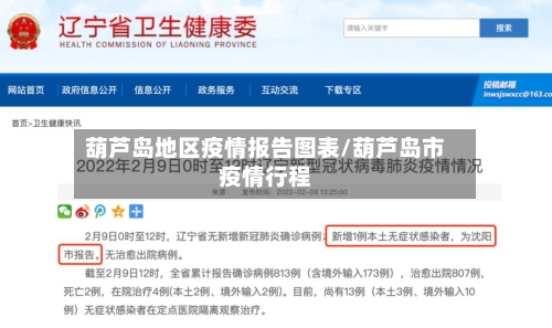 葫芦岛地区疫情报告图表/葫芦岛市疫情行程-第2张图片