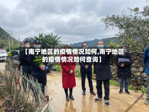 【南宁地区的疫情情况如何,南宁地区的疫情情况如何查询】