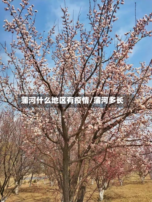 蒲河什么地区有疫情/蒲河多长