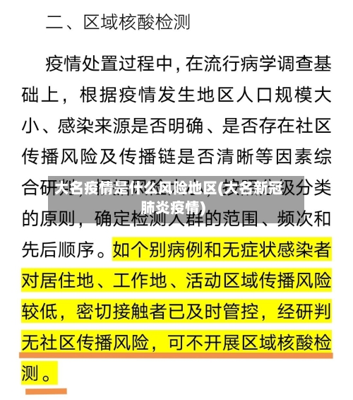 大名疫情是什么风险地区(大名新冠肺炎疫情)-第3张图片