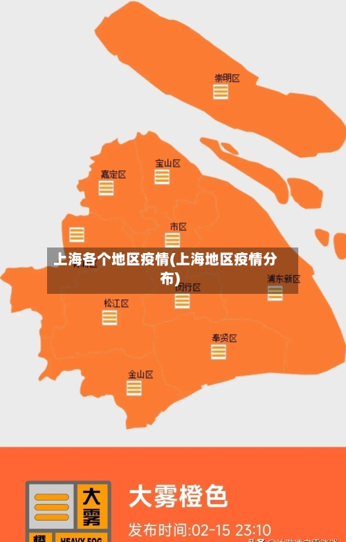 上海各个地区疫情(上海地区疫情分布)