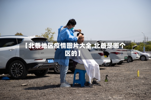 【北蔡地区疫情图片大全,北蔡是哪个区的】
