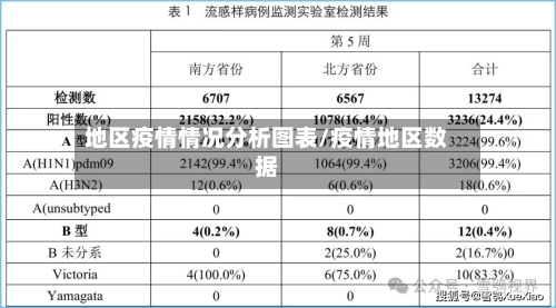 地区疫情情况分析图表/疫情地区数据