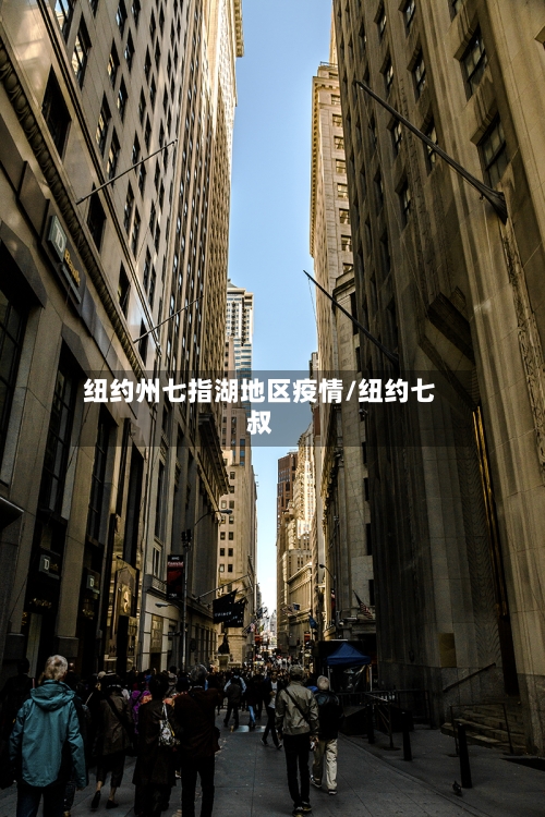 纽约州七指湖地区疫情/纽约七叔
