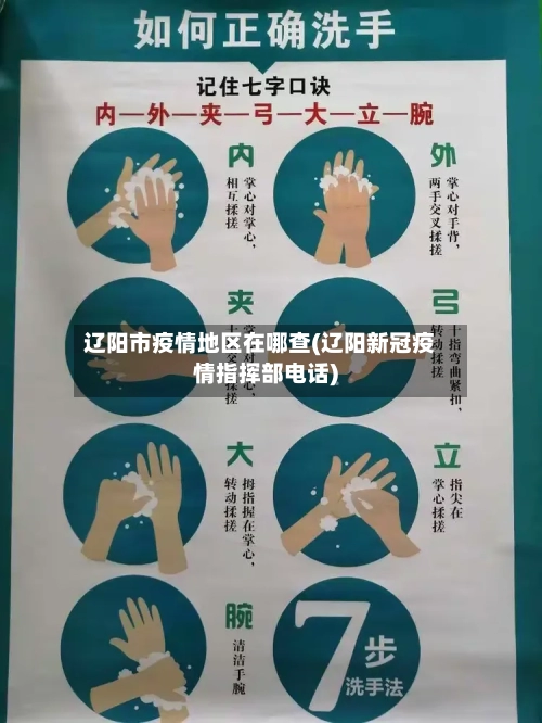 辽阳市疫情地区在哪查(辽阳新冠疫情指挥部电话)