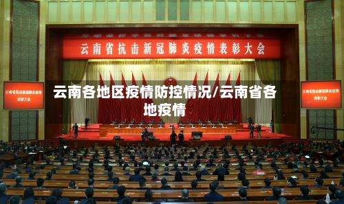 云南各地区疫情防控情况/云南省各地疫情-第2张图片