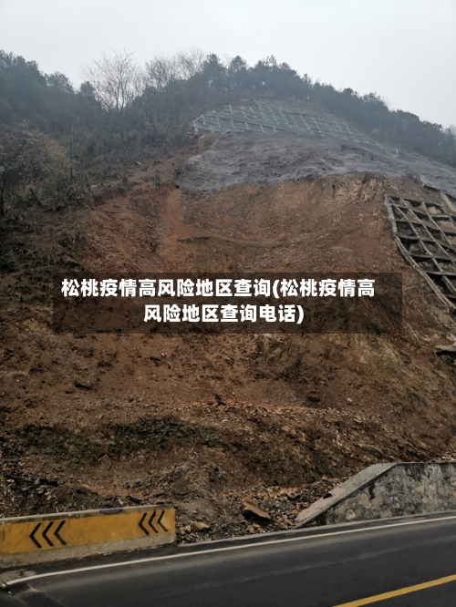 松桃疫情高风险地区查询(松桃疫情高风险地区查询电话)