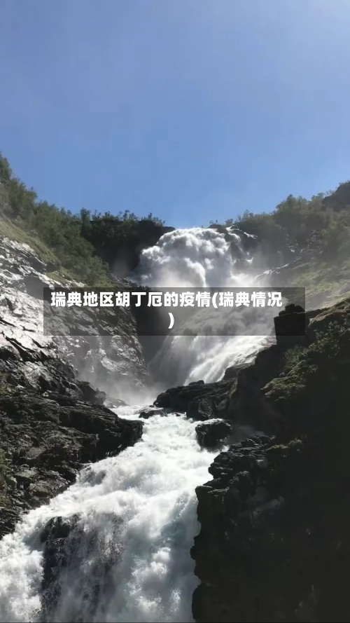 瑞典地区胡丁厄的疫情(瑞典情况)