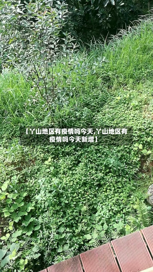 【丫山地区有疫情吗今天,丫山地区有疫情吗今天新增】
