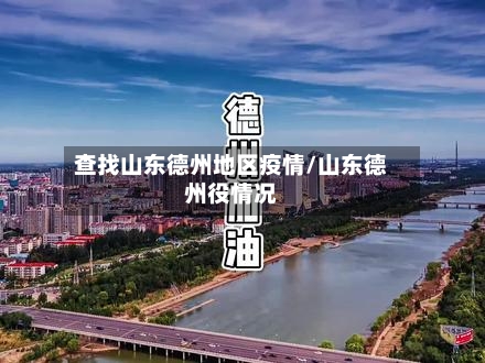 查找山东德州地区疫情/山东德州役情况