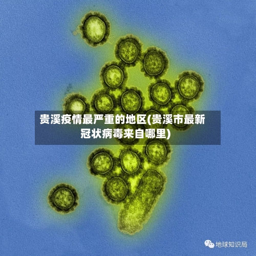 贵溪疫情最严重的地区(贵溪市最新冠状病毒来自哪里)