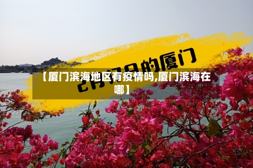 【厦门滨海地区有疫情吗,厦门滨海在哪】-第1张图片