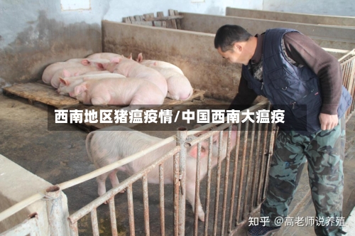 西南地区猪瘟疫情/中国西南大瘟疫-第1张图片