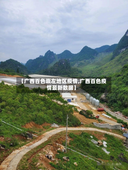 【广西百色崇左地区疫情,广西百色疫情最新数据】-第3张图片