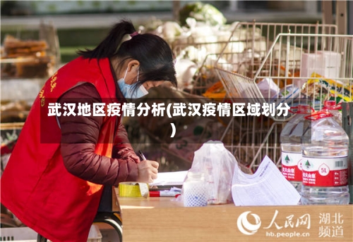 武汉地区疫情分析(武汉疫情区域划分)