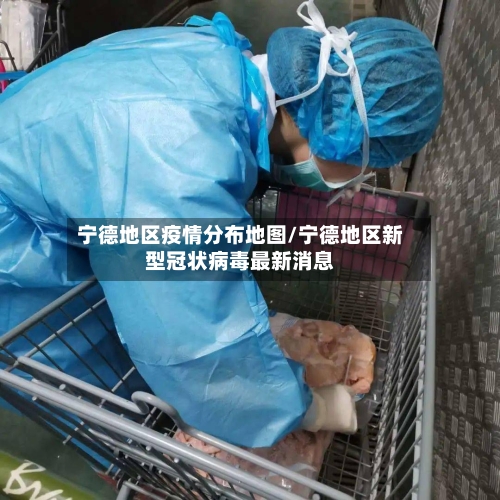 宁德地区疫情分布地图/宁德地区新型冠状病毒最新消息-第2张图片