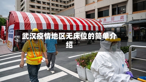 武汉疫情地区无床位的简单介绍-第2张图片