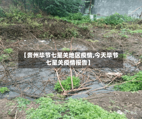 【贵州毕节七星关地区疫情,今天毕节七星关疫情报告】-第2张图片