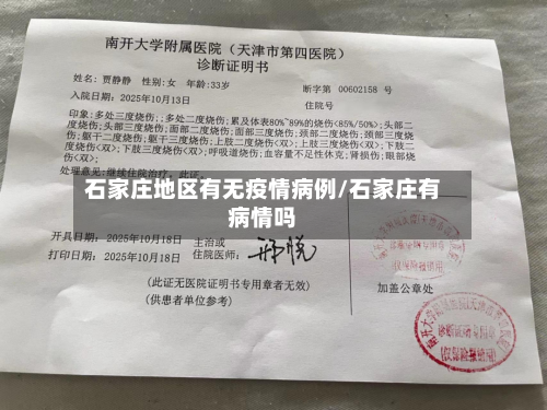 石家庄地区有无疫情病例/石家庄有病情吗-第2张图片