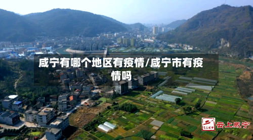 咸宁有哪个地区有疫情/咸宁市有疫情吗
