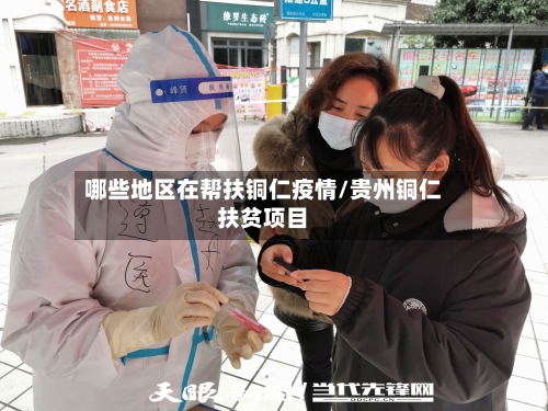 哪些地区在帮扶铜仁疫情/贵州铜仁扶贫项目-第2张图片