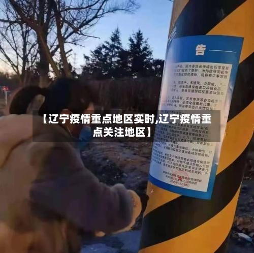 【辽宁疫情重点地区实时,辽宁疫情重点关注地区】-第3张图片