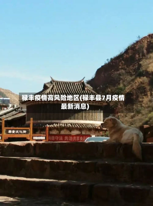 禄丰疫情高风险地区(禄丰县7月疫情最新消息)