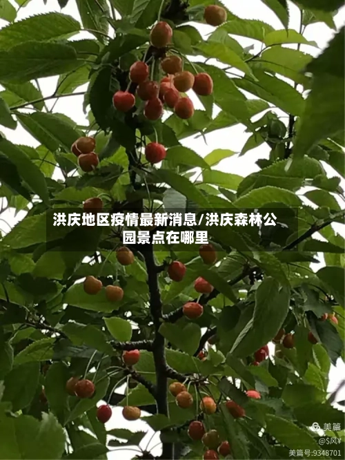 洪庆地区疫情最新消息/洪庆森林公园景点在哪里-第2张图片