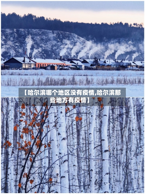 【哈尔滨哪个地区没有疫情,哈尔滨那些地方有疫情】-第3张图片