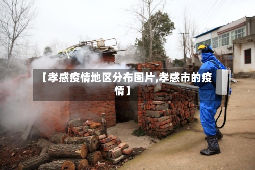 【孝感疫情地区分布图片,孝感市的疫情】