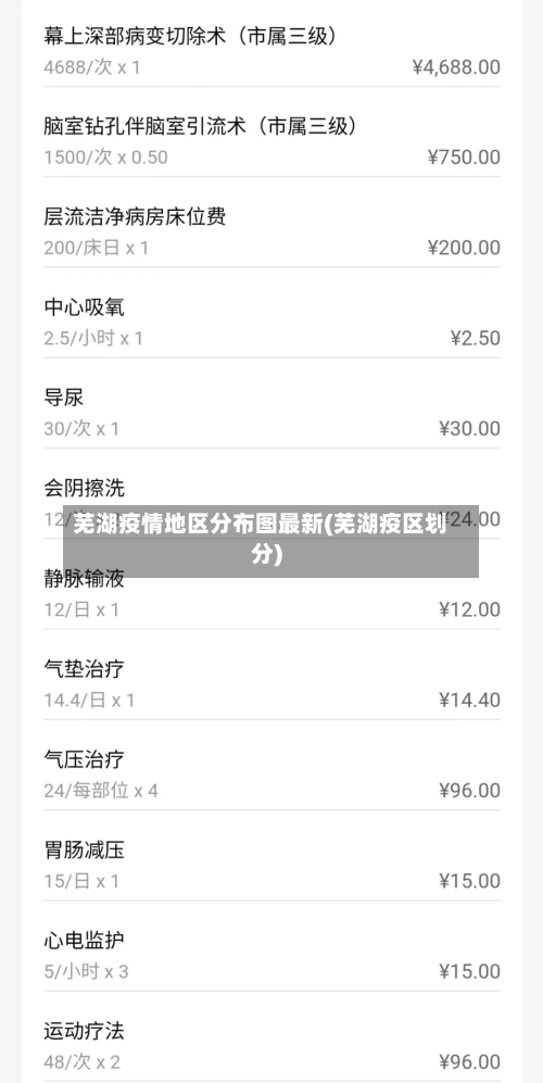 芜湖疫情地区分布图最新(芜湖疫区划分)-第2张图片