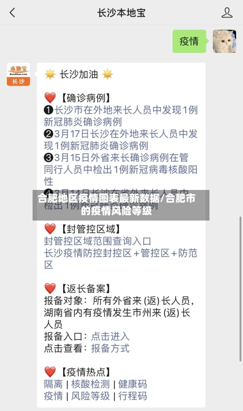 合肥地区疫情图表最新数据/合肥市的疫情风险等级-第2张图片