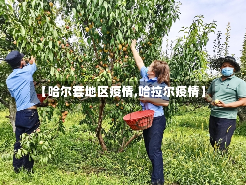 【哈尔套地区疫情,哈拉尔疫情】