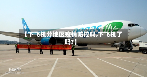 【下飞机分地区疫情防控吗,下飞机了吗?】-第2张图片