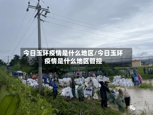 今日玉环疫情是什么地区/今日玉环疫情是什么地区管控-第3张图片