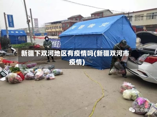新疆下双河地区有疫情吗(新疆双河市疫情)