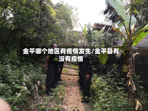 金平哪个地区有疫情发生/金平县有没有疫情