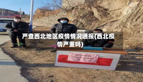 严查西北地区疫情情况通报(西北疫情严重吗)-第2张图片